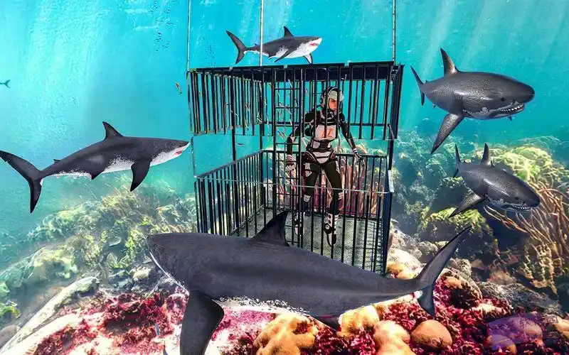 德州扑克起手牌策略_GG德州扑克盈利策略_德州扑克心态管理技巧